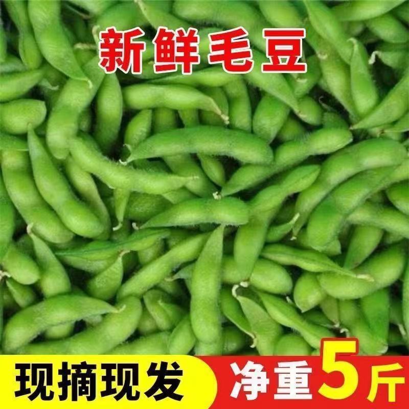 毛豆新鲜带壳毛豆角豆荚青大豆角现摘现发青毛豆当季新鲜蔬菜包邮 水产肉类/新鲜蔬果/熟食 新鲜豆类 原图主图