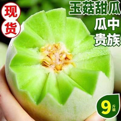 冰激凌玉菇甜瓜蜜瓜新鲜水果批发当季玉茹香瓜软糯香甜5/10斤包邮