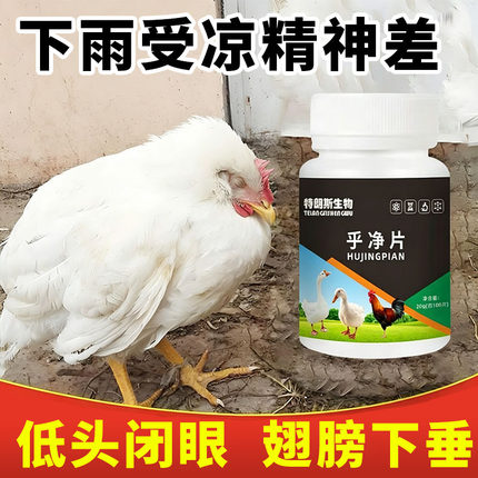 乎净片100片/瓶禽类鸡鸭鹅呼吸道呆立精神不振科学养鸡养殖常备