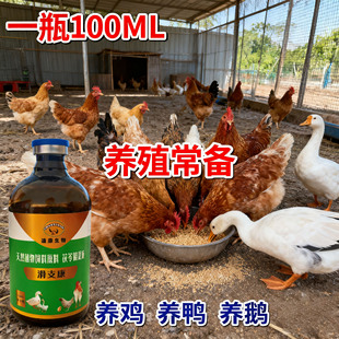 鸡鸭鹅腿瘸瘫痪站不起来打蔫