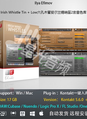 Irish Whistle Tin +Low六孔木管爱尔兰锡哨笛2套音色库编曲音源