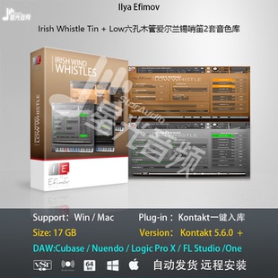 Irish Whistle Tin +Low六孔木管爱尔兰锡哨笛2套音色库编曲音源