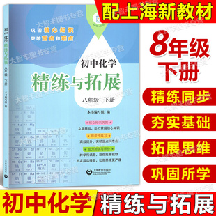 2025春初中化学精练与拓展八年级下册8年级第二学期巩固核心知识突破重点和难点精练同步夯实基础拓展思维提升素养上海教育出版社