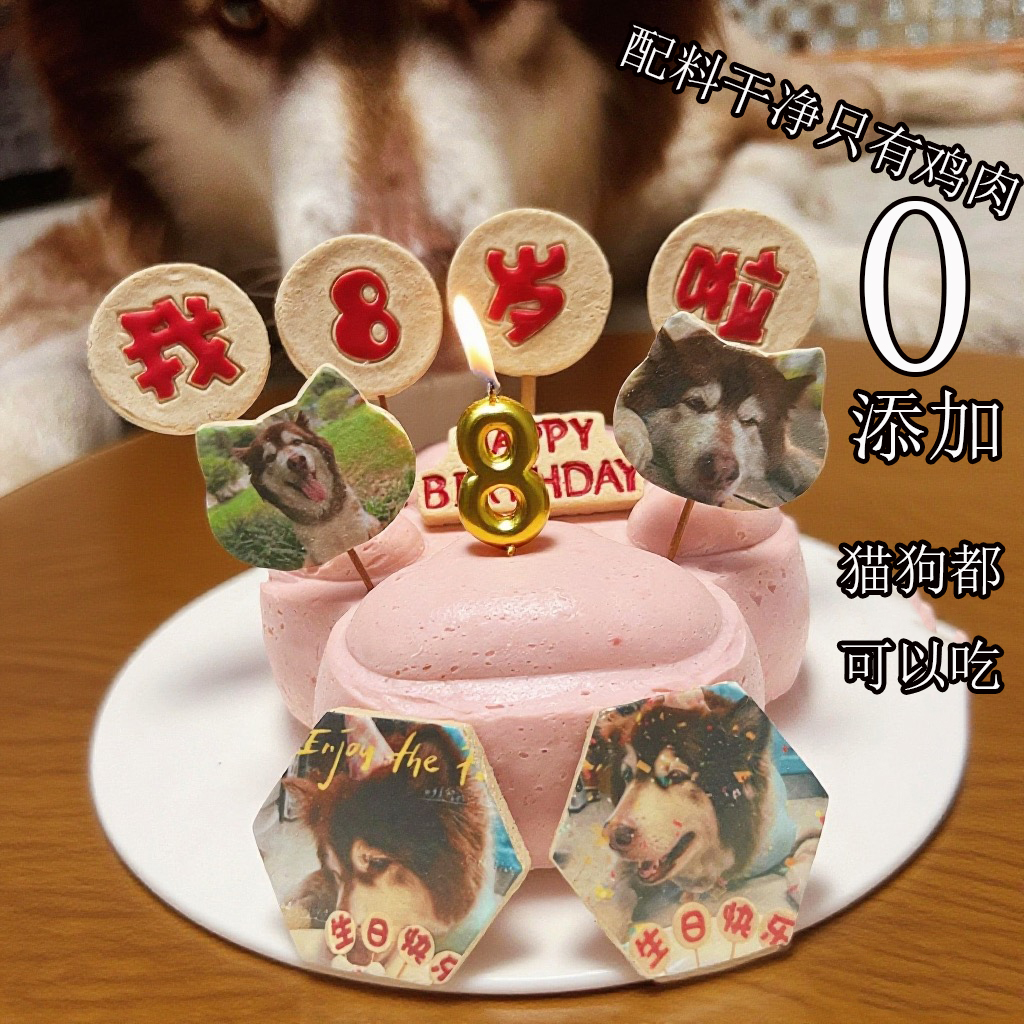 小宠一狼爪子宠物生日蛋糕饼干零食定制狗猫咪照片生日插牌无添加