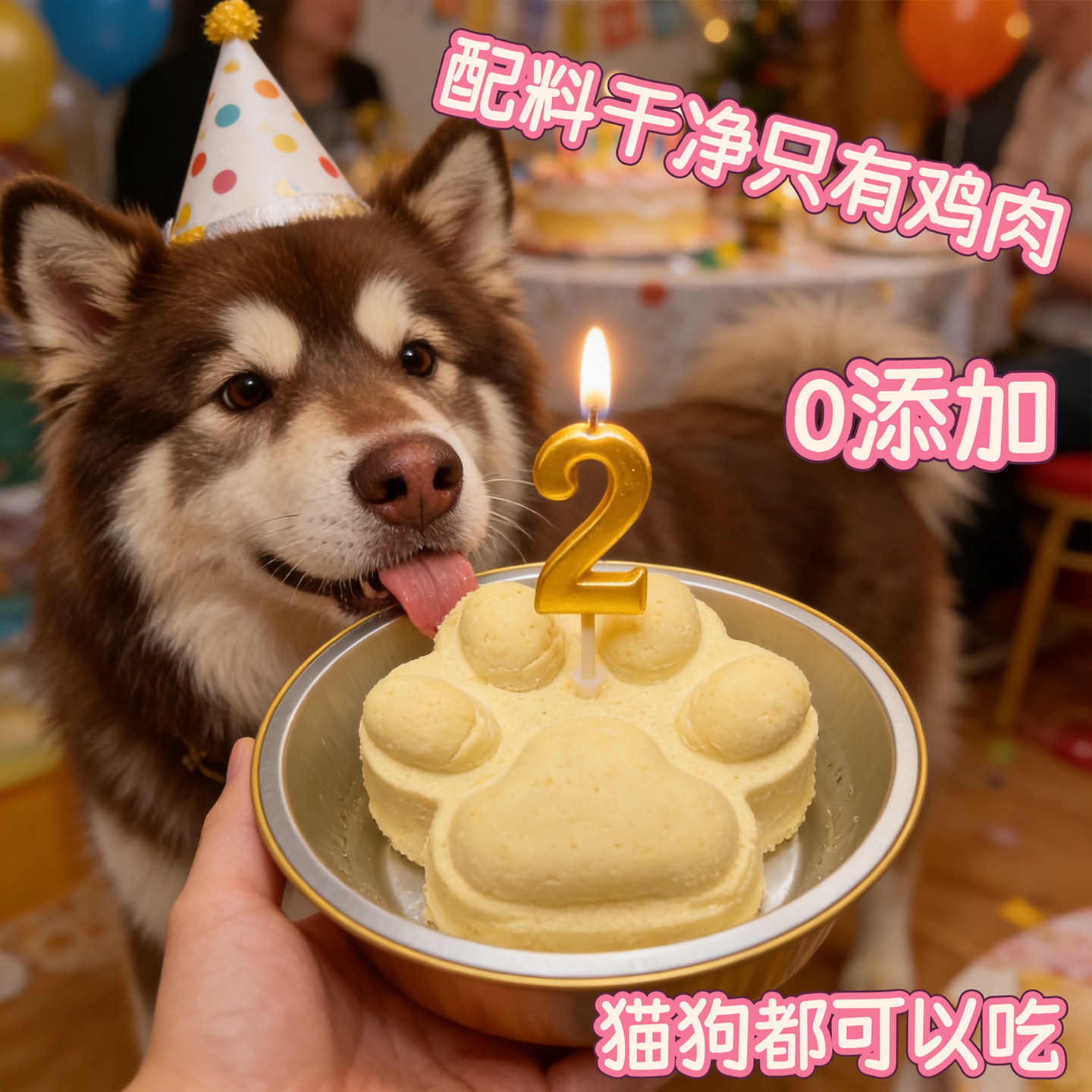 小宠一狼黄色猫爪宠物生日蛋糕饼干零食定制狗猫咪照片生日插牌