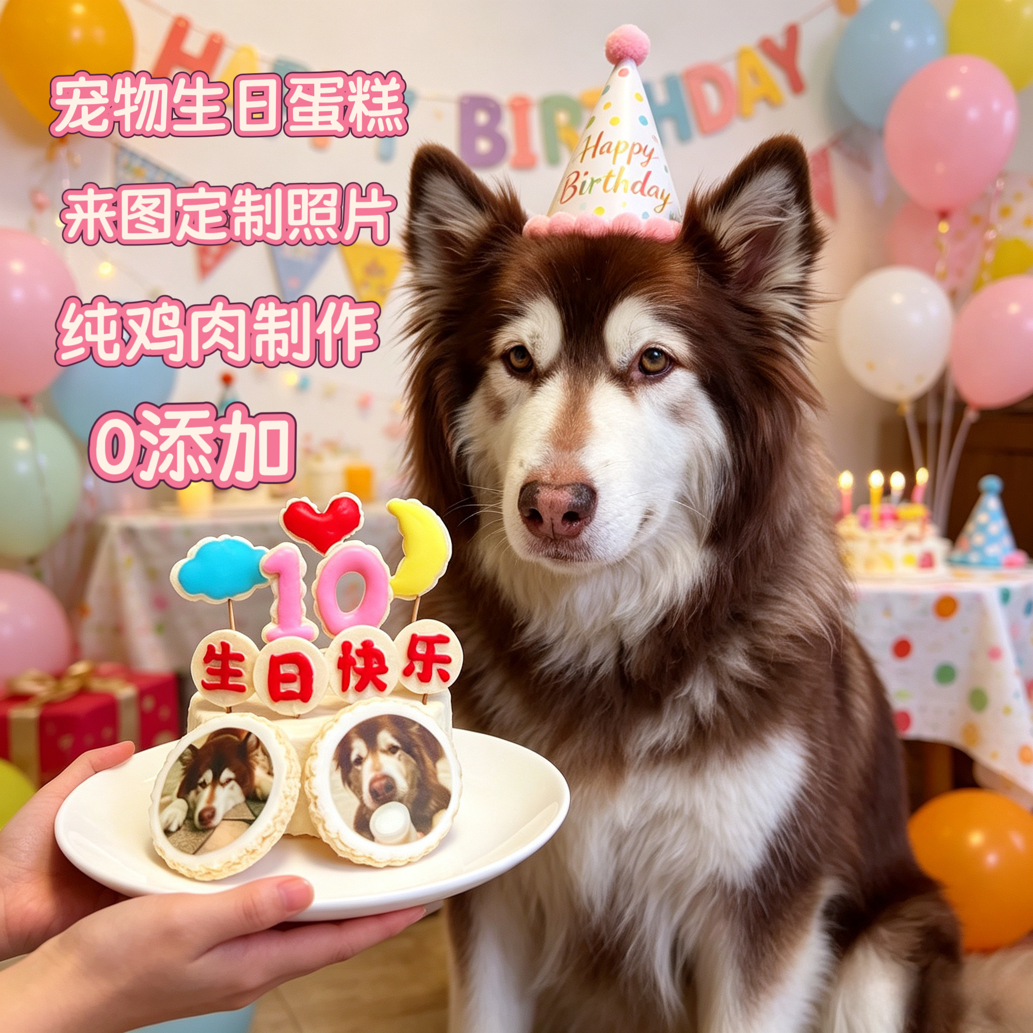 小宠一狼宠物蛋糕狗生日饼干狗零食定制猫咪头像照片自制无添加