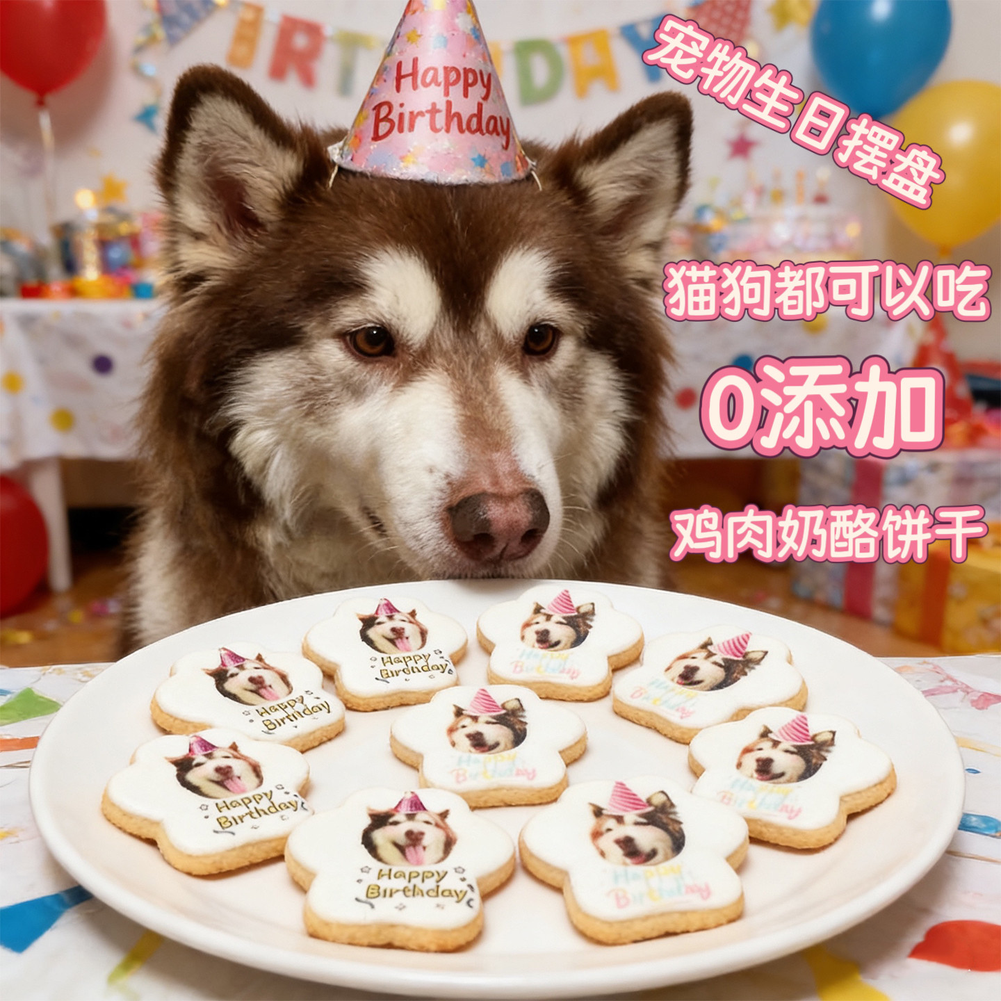小宠一狼宠物饼干狗生日摆盘零食猫咪补钙补充营养来图定制照片