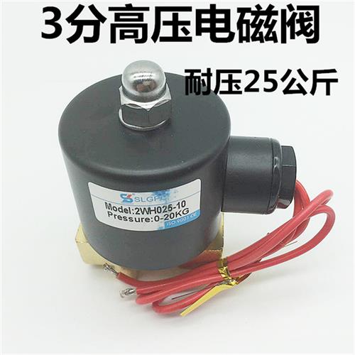 高压电磁阀 2WH018-08 2分/3分高压气阀 耐压25KG AC220V DC24V
