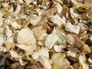 云南野生中药材滇黄精大片黄精正品黄精干片泡茶酒煮鸡干货