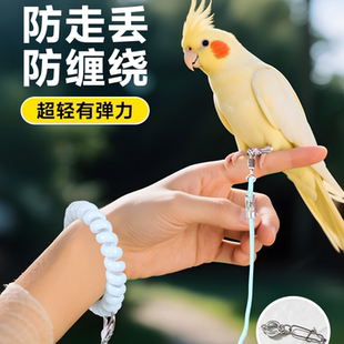 鹦鹉脚环放飞绳放飞溜鸟绳小鸟玄凤虎皮小太阳超轻脚环脚链神器