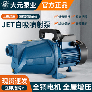 大元 自吸泵喷射泵家用水井抽水机咨询客服购一台也有优惠金20元