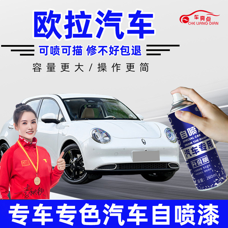 欧拉汽车专车专色补漆笔修复套装图片