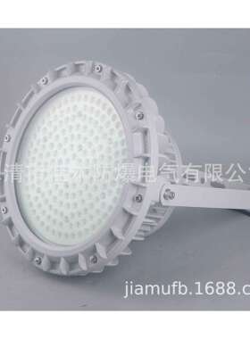 BAD84-40b1J带应急LED防爆照明灯LED光源防爆灯