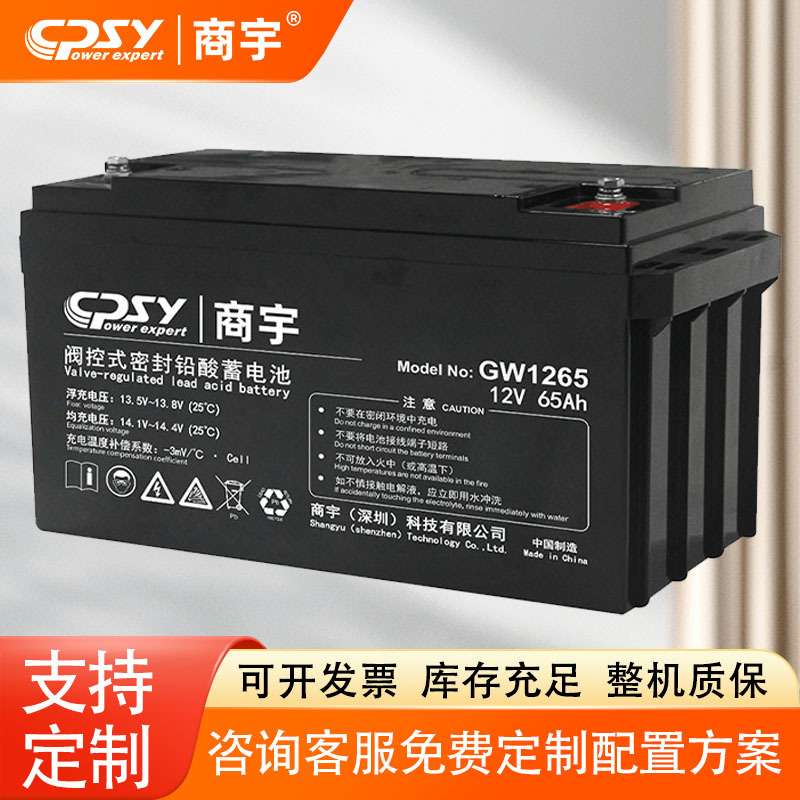 商宇机房设备ups专用蓄电池GW1265AH断电续航停电备用电源大容量