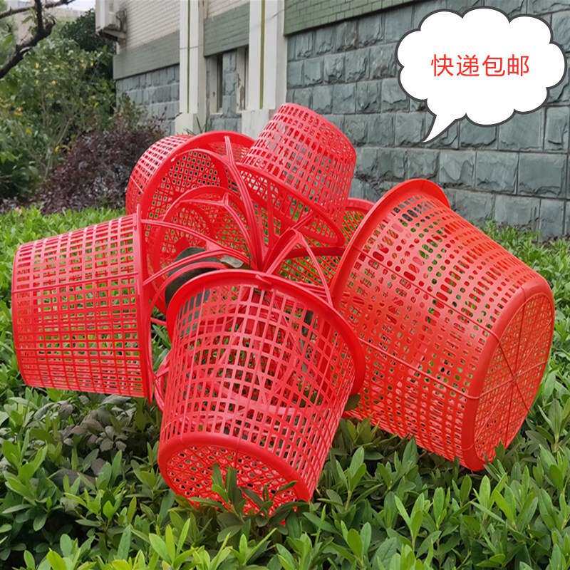 草莓采摘筐砂糖橘果园草莓蓝莓园蔬菜杨梅桑葚樱桃枇杷框橘子