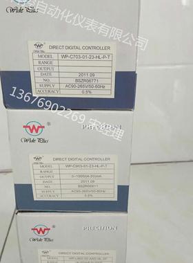 WP-C704-02-09-2H2L/WP-C704-01-23-2H2L数显仪温控仪液位表压力