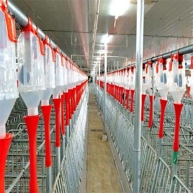 高床定位栏复合板育肥猪限位栏养殖设备单个落地式母猪定位栏