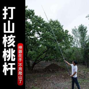 打山核桃专用伸缩杆子一体单杆碳素加厚超硬质保一年板栗加固多用