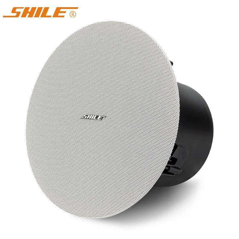 狮乐6.5英寸无源定压定阻吸顶喇叭音响会议室扩声系统BX-305