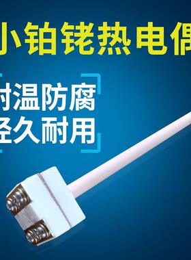 S型B型小铂铑热电偶 WRP-100 WRR耐高温 99陶瓷保护管 温度传感器