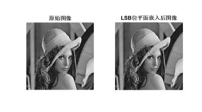 M00190-MATLAB数字水印技术基于LSB图像信息隐藏