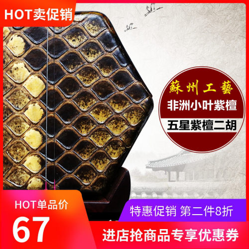 非洲小叶紫檀二胡乐器大皮花演奏考级学习红木二胡送全套配件