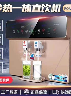 净水器家用直饮加热冰热一体机厨房自来水RO反渗透纯水