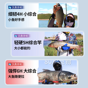 名伦鱼竿旗舰汉鼎洛铭钓鱼竿高碳超轻硬鲫鱼黑坑台钓竿轻量大物综