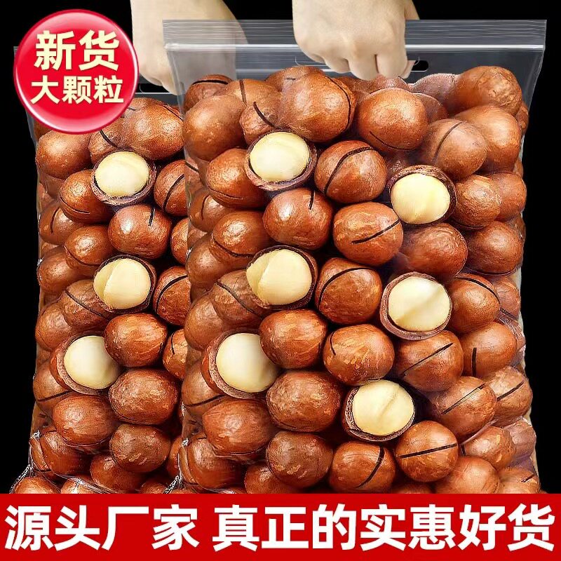 夏威夷果带壳新货奶油味送开口器澳洲特产炒货大礼包零食坚果干果
