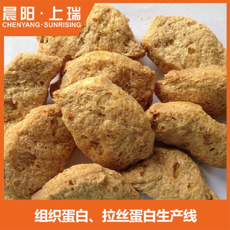 生组织蛋白、拉丝蛋套CY65白球产线设备植物人造素肉整生产线机械