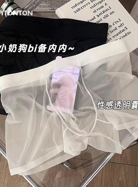 Fiton Ton男士内裤冰丝无痕四角裤性感情趣平角裤透明速干短裤头