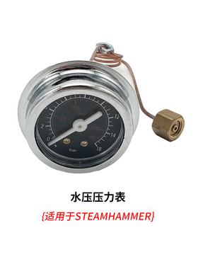 XLVI意大利原装进口配件 蒸汽水压压力表 开水棒蒸汽棒