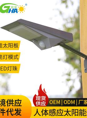 新款农村太阳能灯 户外景观花园围墙庭院灯人体感应家用18led壁灯