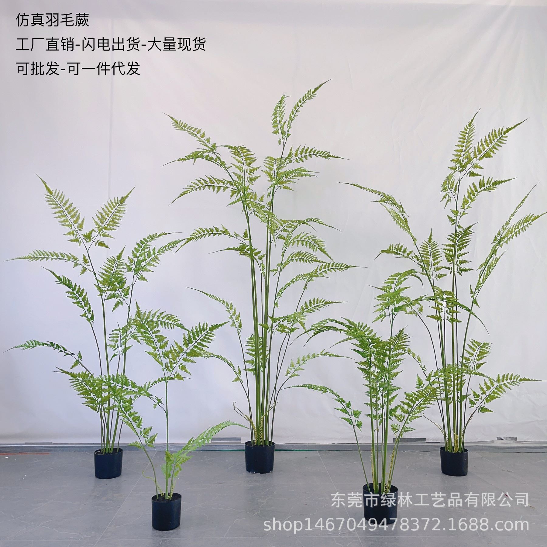 羽毛厥仿真猴头蕨禅意蕨绿植庭院盆栽家居室内外客厅造景绿植装饰