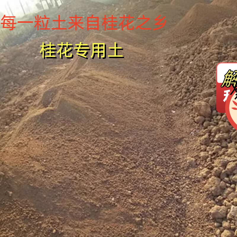 桂花树专用土营养土养花种花土通用种植土有机腐叶土壤肥料营养液