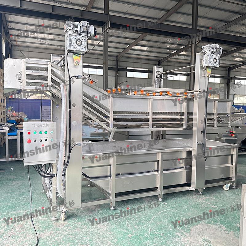 厂枝家现货杨桃清洗荔机全自动番清洗机EZT榴清洗加石工流水线