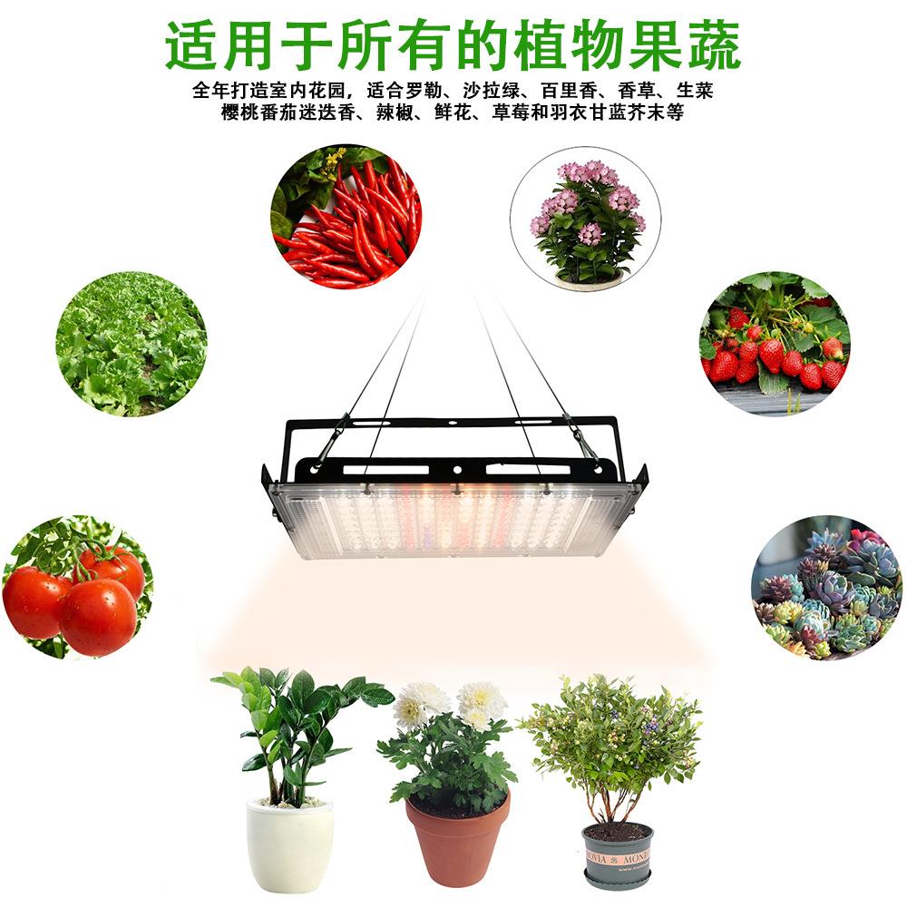 全光谱植物补光灯跨境多肉棚瓜d蔬菜大果le仿太阳光植物生MWW长灯