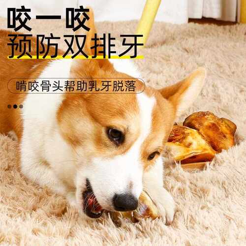 新款直销牛膝盖骨头狗狗大小型犬幼犬牛骨磨牙棒耐咬洁齿补钙宠物