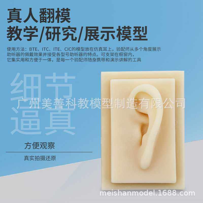 新款直销成人1：1 仿真耳朵 模型 人体耳朵 耳膜型 硅胶针灸耳朵,文具电教/文化用品/商务用品,教学标本/模型,淘宝优惠券,粉丝福利购,淘宝优惠卷