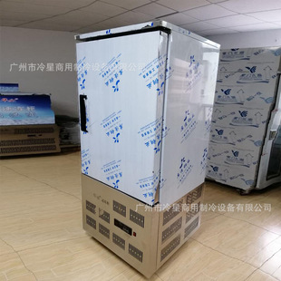 速冻柜商用海鲜水饺生胚包子油条低温柜冷冻冰柜急冻柜10盘速冻机