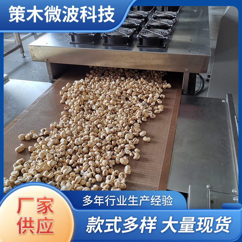 茶油果干燥设备灵芝孢子粉微波蔬菜烘干多用途带式带电加热