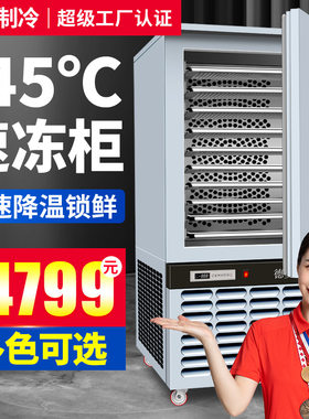 迷你速冻柜小型家用台面双层速冻冷藏柜商用食品冷冻柜彩色速冻机