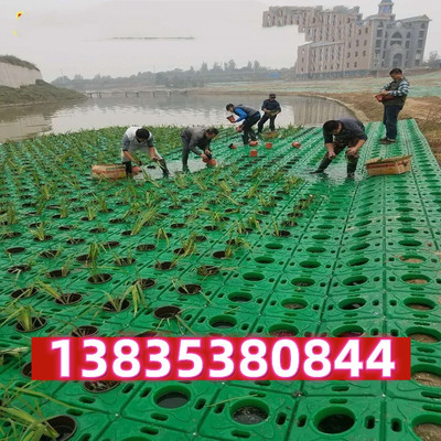 生态浮岛人工浮岛植物生态浮床净化水质水面绿化河道净化景观专业