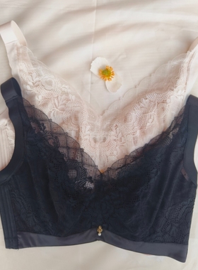 香蜜闺秀E杯文胸2012027大胸记忆软钢圈超薄蕾丝大胸显小聚拢内衣