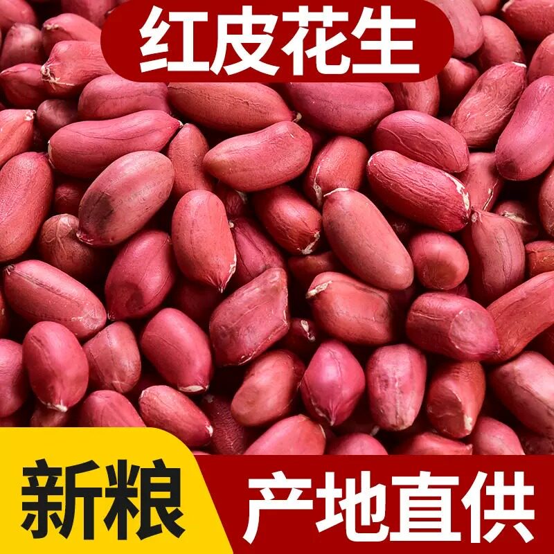新红皮花生米生东北农家新鲜晒干花生原味不带壳四粒红衣花生仁