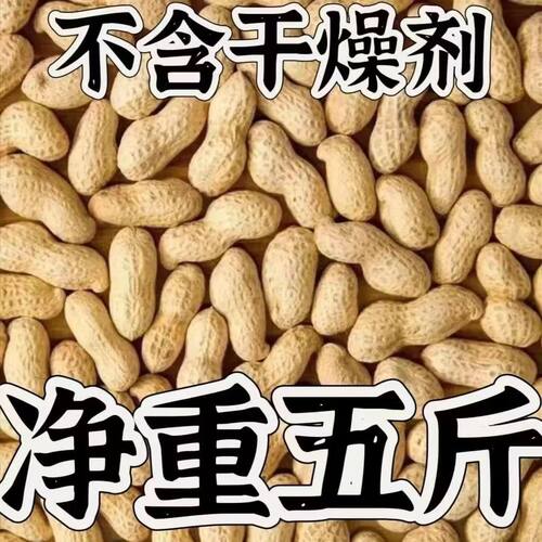 现炒现发山东铁锅红皮花生炒熟新货原味带壳生新鲜花生炒货零食