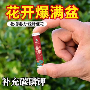 植物营养缓释片肥料氮磷钾种花养花肥家用果蔬盆栽花卉通用型精华