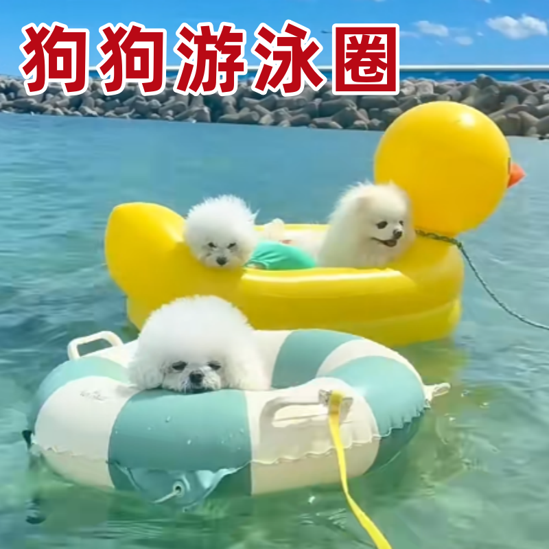 宠物游泳圈夏季户外水上玩具小型犬狗狗玩水专用救生圈漂浮充气床