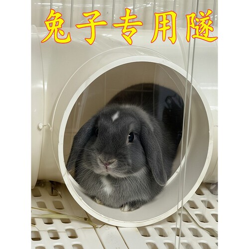 侏儒垂耳兔子专用玩具隧道自嗨解闷躲避屋四季通用透气耐咬睡觉窝