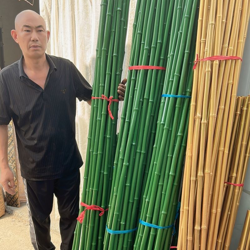 包塑镀膜竹竿菜园搭架竹子防腐装饰爬藤花支架结婚礼彩旗跳舞竹杆